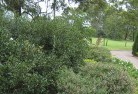 Central Australiaresidential-landscaping-35.jpg; ?>