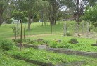 Central Australiaresidential-landscaping-39.jpg; ?>
