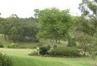Central Australiaresidential-landscaping-40.jpg; ?>